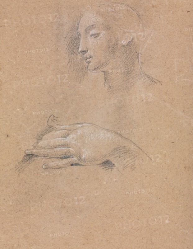 Verona Sketchbook: Female head and left hand (page 42), 1760. Francesco Lorenzi (Italian, 1723-1787). Black chalk with white heightening ; sheet: 32 x 23 cm (12 5/8 x 9 1/16 in.).