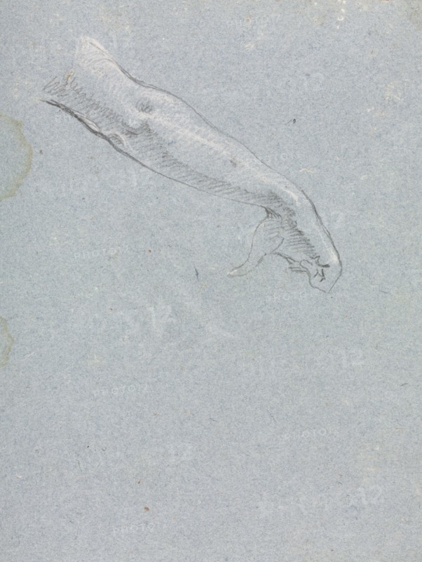 Verona Sketchbook: Right arm and hand (page 95), 1760. Francesco Lorenzi (Italian, 1723-1787). Black chalk with white heightening ; sheet: 32 x 23 cm (12 5/8 x 9 1/16 in.).