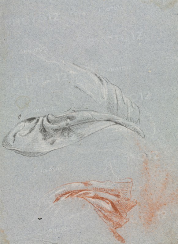 Verona Sketchbook: Drapery studies (page 17), 1760. Francesco Lorenzi (Italian, 1723-1787). Black and red chalk with white heightening ; sheet: 32 x 23 cm (12 5/8 x 9 1/16 in.).