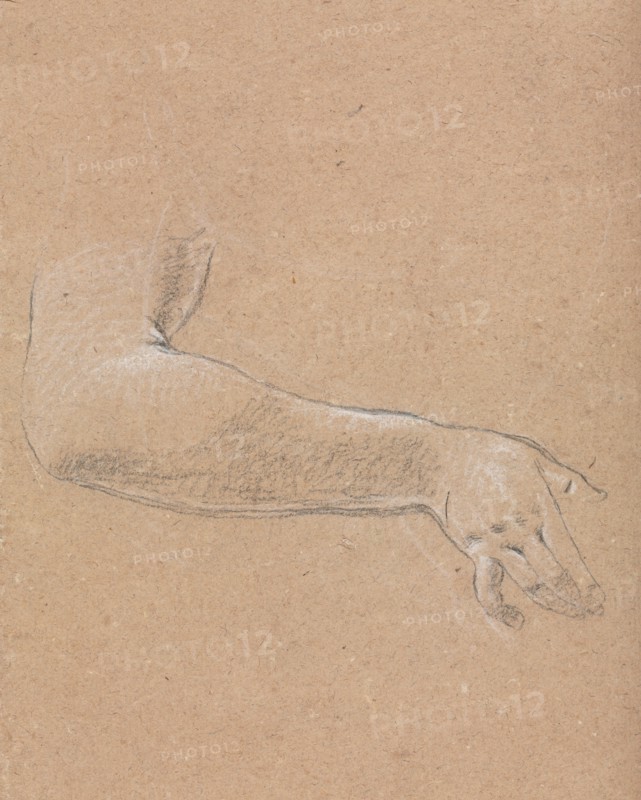 Verona Sketchbook: Female right arm and hand (page 44), 1760. Francesco Lorenzi (Italian, 1723-1787). Black chalk with white heightening ; sheet: 32 x 23 cm (12 5/8 x 9 1/16 in.).