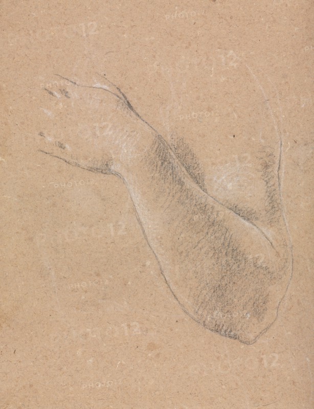 Verona Sketchbook: Left arm and hand (page 46), 1760. Francesco Lorenzi (Italian, 1723-1787). Black chalk with white heightening ; sheet: 32 x 23 cm (12 5/8 x 9 1/16 in.).
