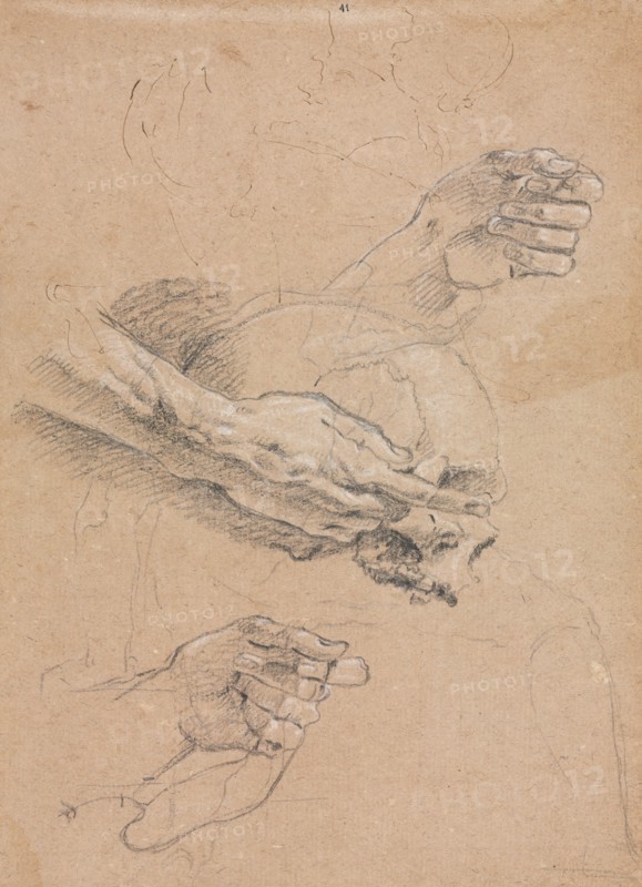 Verona Sketchbook:Study of hands and skull (page 21), 1760. Francesco Lorenzi (Italian, 1723-1787). Black chalk with white heightening, underdrawing with brown ink ; sheet: 32 x 23 cm (12 5/8 x 9 1/16 in.).