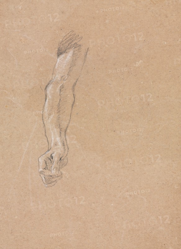 Verona Sketchbook: Right arm and hand (page 49), 1760. Francesco Lorenzi (Italian, 1723-1787). Black chalk with white heightening ; sheet: 32 x 23 cm (12 5/8 x 9 1/16 in.).