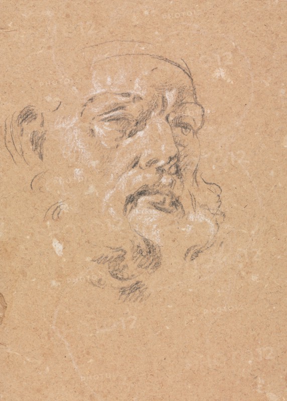 Verona Sketchbook: Male head (page 76), 1760. Francesco Lorenzi (Italian, 1723-1787). Black chalk with white heightening ; sheet: 32 x 23 cm (12 5/8 x 9 1/16 in.).