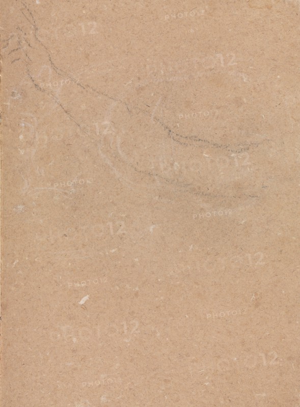 Verona Sketchbook: Arm (page 51), 1760. Francesco Lorenzi (Italian, 1723-1787). Black chalk ; sheet: 32 x 23 cm (12 5/8 x 9 1/16 in.).