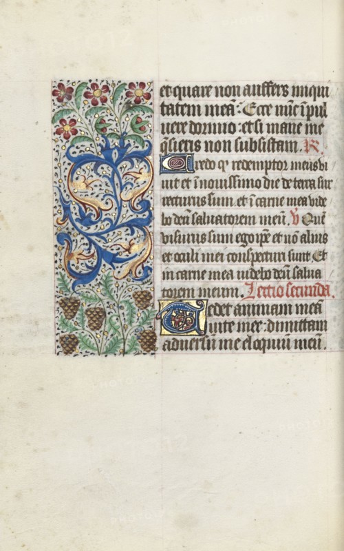 Book of Hours (Use of Rouen): fol. 115v, c. 1470. Master of the Geneva Latini (French, active Rouen, 1460-80). Ink, tempera, and gold on vellum; codex: 19.5 x 13.1 cm (7 11/16 x 5 3/16 in.)