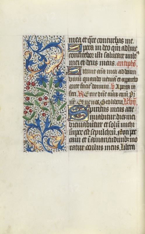 Book of Hours (Use of Rouen): fol. 130v, c. 1470. Master of the Geneva Latini (French, active Rouen, 1460-80). Ink, tempera, and gold on vellum; codex: 19.5 x 13.1 cm (7 11/16 x 5 3/16 in.)