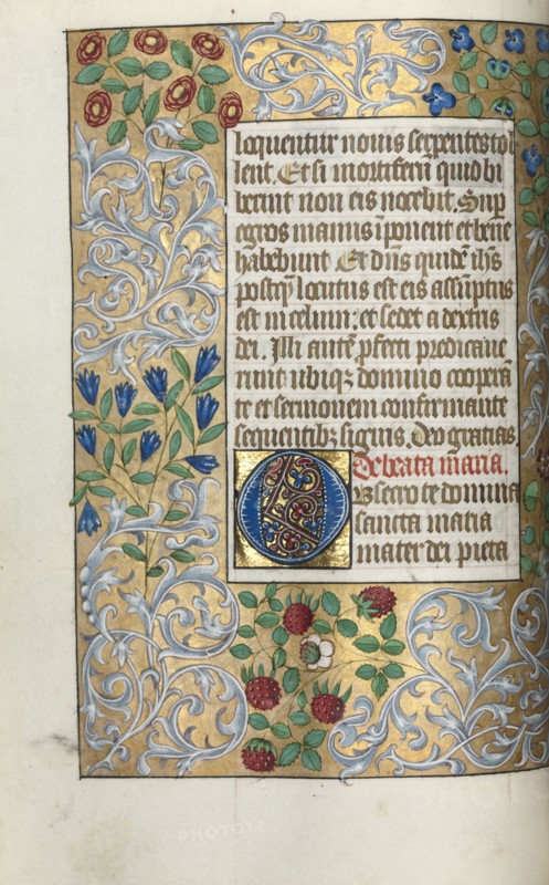 Book of Hours (Use of Rouen): fol. 18v, Large Initial O with Elaborate Border, c. 1470. Master of the Geneva Latini (French, active Rouen, 1460-80). Ink, tempera, and gold on vellum; codex: 19.5 x 13.1 cm (7 11/16 x 5 3/16 in.).