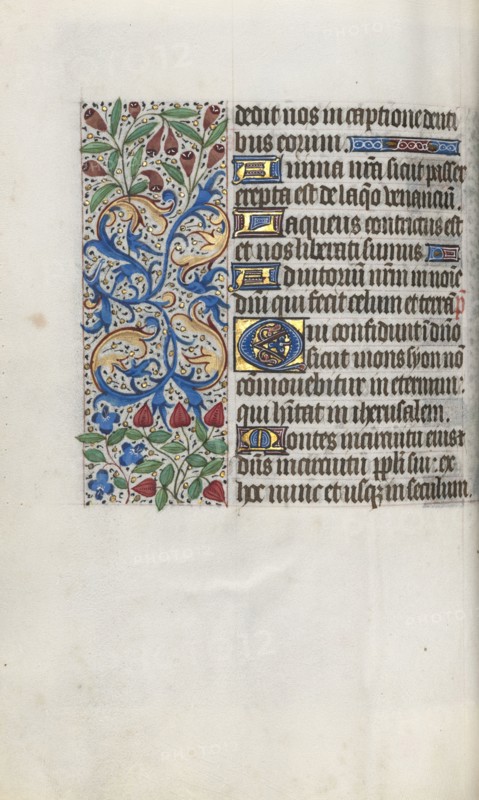 Book of Hours (Use of Rouen): fol. 65v, c. 1470. Master of the Geneva Latini (French, active Rouen, 1460-80). Ink, tempera, and gold on vellum; codex: 19.5 x 13.1 cm (7 11/16 x 5 3/16 in.)