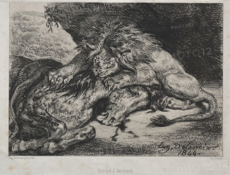 Lion Devouring a Horse, 1844. Eugène Delacroix (French, 1798-1863), Bertauts. Lithograph; sheet: 22 x 26.1 cm (8 11/16 x 10 1/4 in.); image: 17 x 23.6 cm (6 11/16 x 9 5/16 in.).
