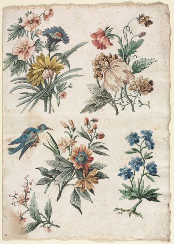 Floral Designs with a Blue Bird, c. 1773/74. Giacomo Cavenezia (Italian). Pen and black and brown ink, brush and black and brown wash, watercolor and gouache, over traces of black chalk; sheet: 32.3 x 22.8 cm (12 11/16 x 9 in.).