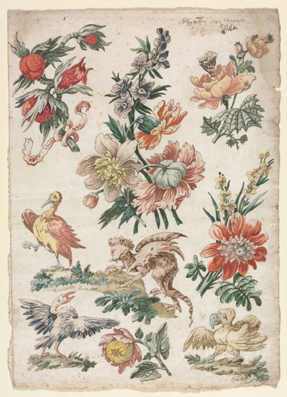 Floral Designs with Birds and Griffon, 1784. Giacomo Cavenezia (Italian). Pen and brown ink, brush and brown amd gray wash, watercolor and gouache; sheet: 31.9 x 22.7 cm (12 9/16 x 8 15/16 in.).