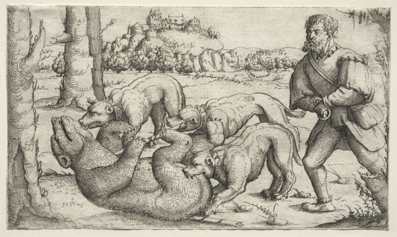 A Bear Hunt, 1569. Augustin Hirschvogel (German, 1503-1553). Etching