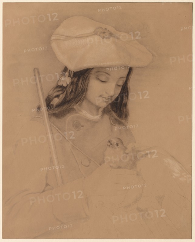 Highland Lassie. Edwin Henry Landseer (British, 1802-1873). Graphite, charcoal and white chalk;