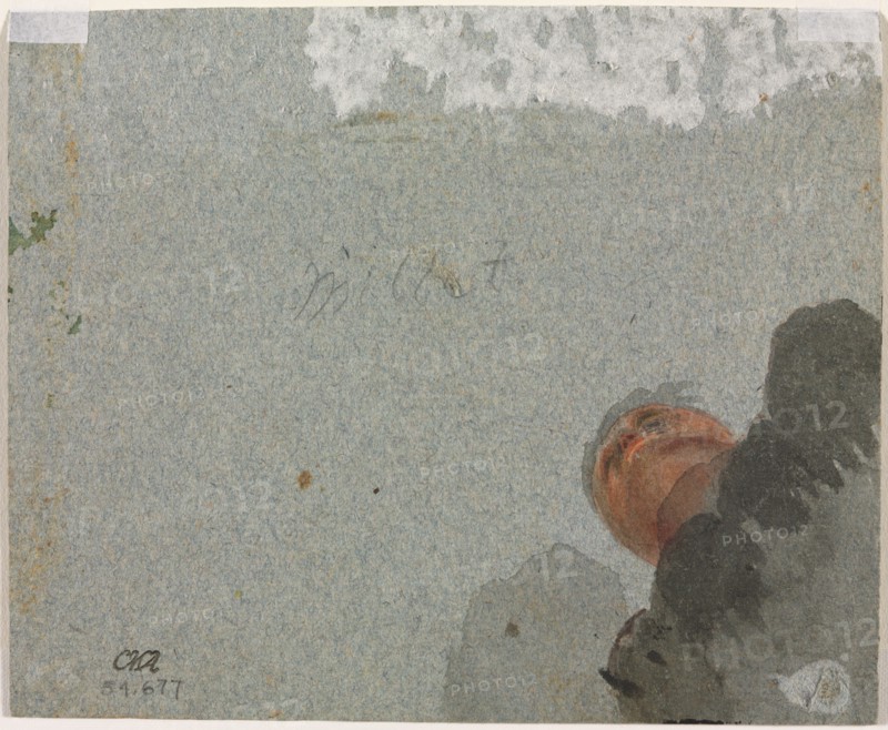 Study of a Head seen from Below, third quarter 1600s. Attributed to Francisque Millet (French, 1642-1679). Brush and gray and red wash ; sheet: 11.6 x 14 cm (4 9/16 x 5 1/2 in.).