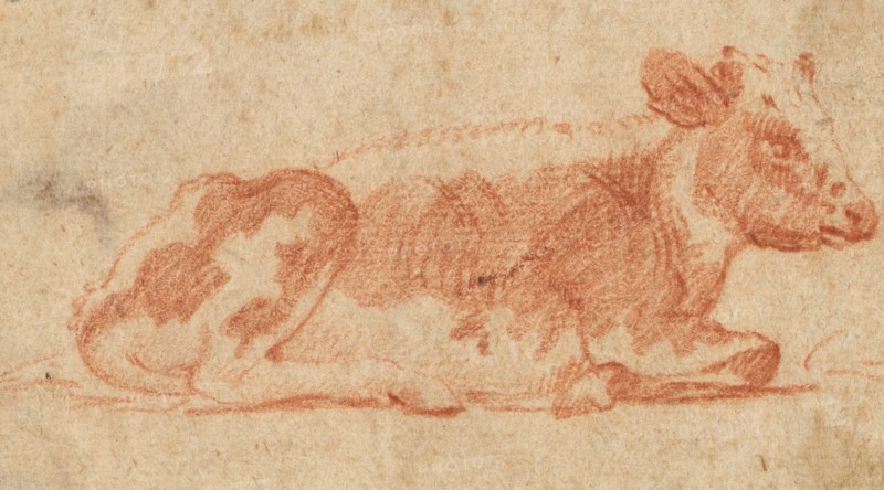 Cow, second half 1600s. Johann Heinrich Roos (German, 1631-1685). Red chalk; framing lines in brush and black ink; sheet: 6.7 x 11.1 cm (2 5/8 x 4 3/8 in.); secondary support: 6.7 x 11.1 cm (2 5/8 x 4 3/8 in.).