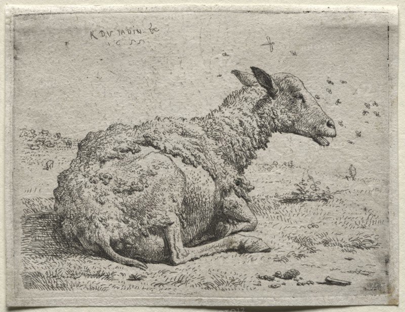 The Sheep and the Flies. Karel Dujardin (Dutch, c. 1622-1678). Etching