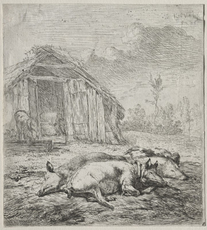Three Swine Lying in Front of a Sty. Karel Dujardin (Dutch, c. 1622-1678). Etching