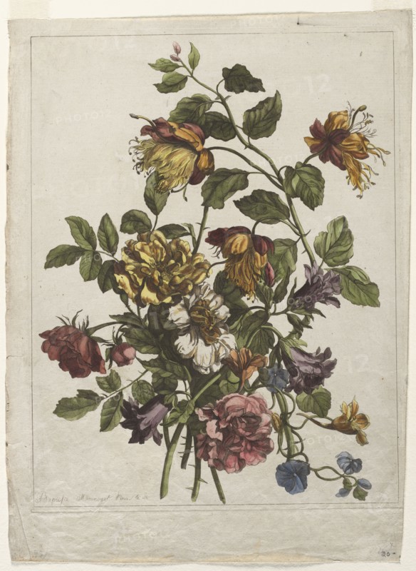 Bouquet. Jean-Baptiste I Monnoyer (French, c. 1636-1699). Etching and engraving, hand colored