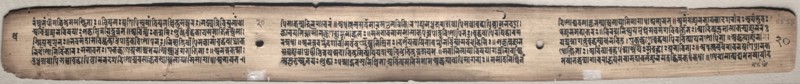 Leaf from Gandavyuha: text,  from Chapter 1, Verse 47 (verso), 1000-1100s. Eastern India, Pala period. Ink and color on palm leaves; average: 4.2 x 52.4 cm (1 5/8 x 20 5/8 in.).