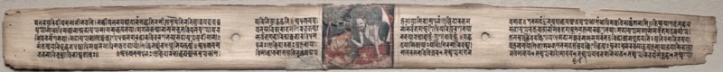 Leaf from Gandavyuha: Sudhana is Blessed by a Rishi, from Chapter 16 Prabhutopasika (recto); Leaf from Gandavyuha: text, from Chapter 16 Prabhutopasika (verso), 1000-1100s. Ink and color on palm leaves; average: 4.2 x 52.4 cm (1 5/8 x 20 5/8 in.).