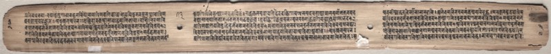 Leaf from Gandavyuha: text, from Chapter 10 Asha (verso), 1000-1100s. Eastern India, Pala period. Ink and color on palm leaves; average: 4.2 x 52.4 cm (1 5/8 x 20 5/8 in.).