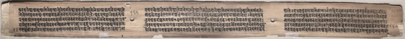 Leaf from Gandavyuha: text, from Chapter 22 Achala (verso), 1000-1100s. Eastern India, Pala period. Ink and color on palm leaves; average: 4.2 x 52.4 cm (1 5/8 x 20 5/8 in.).