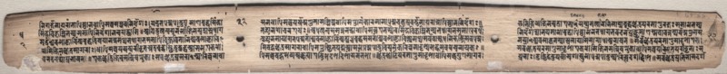Leaf from Gandavyuha: text, from Chapter 2 (verso), 1000-1100s. Eastern India, Pala period. Ink and color on palm leaves; average: 4.2 x 52.4 cm (1 5/8 x 20 5/8 in.).
