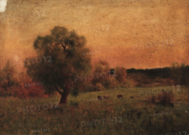 Cows in a Field. Imitator of George Inness (American, 1825-1894). Oil on canvas; unframed: 45.3 x 66 cm (17 13/16 x 26 in.).