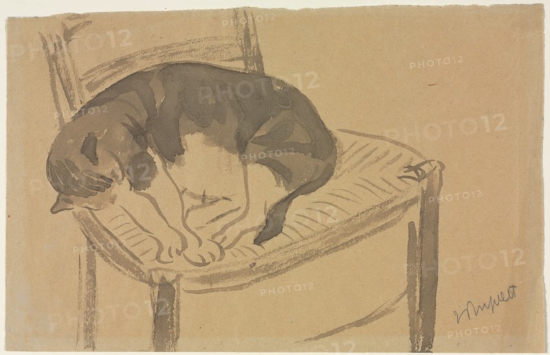 Sleeping Cat (recto) Torso of a Nude Woman (verso) , first third 1900s. Jane Poupelet (French, 1878-1932). Brush and gray wash; sheet: 16.7 x 25.8 cm (6 9/16 x 10 3/16 in.).