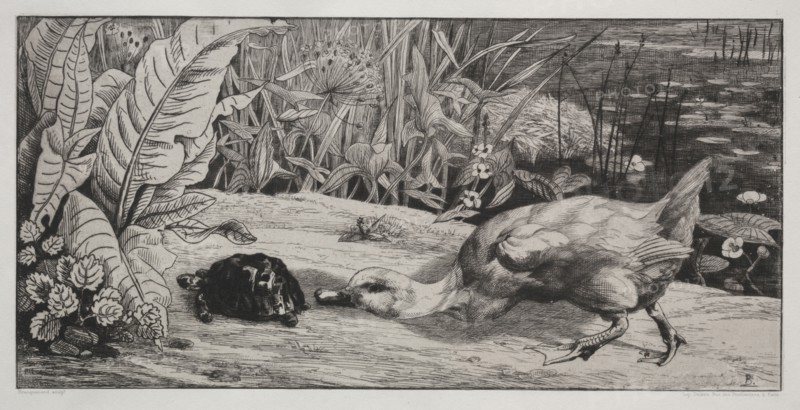 An Unknown, 1862. Félix Bracquemond (French, 1833-1914), A. Cadart and F. Chevalier. Etching and drypoint; sheet: 32.7 x 48.3 cm (12 7/8 x 19 in.); platemark: 18.8 x 31.8 cm (7 3/8 x 12 1/2 in.).