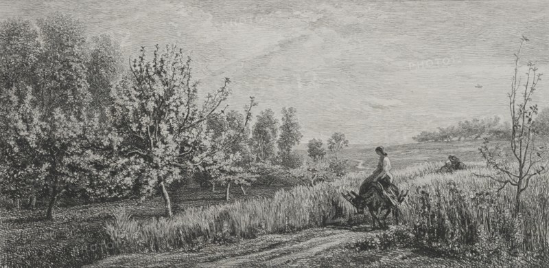 Springtime, 1857. Charles François Daubigny (French, 1817-1878). Etching; sheet: 24 x 32 cm (9 7/16 x 12 5/8 in.); platemark: 21 x 28.2 cm (8 1/4 x 11 1/8 in.).