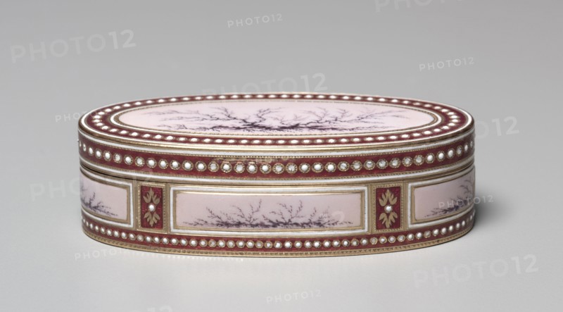 Snuff Box (Tabatière), 1777-1778. Charles Le Bastier (French). Gold and enamel; overall: 2 x 3.4 cm (13/16 x 1 5/16 in.).