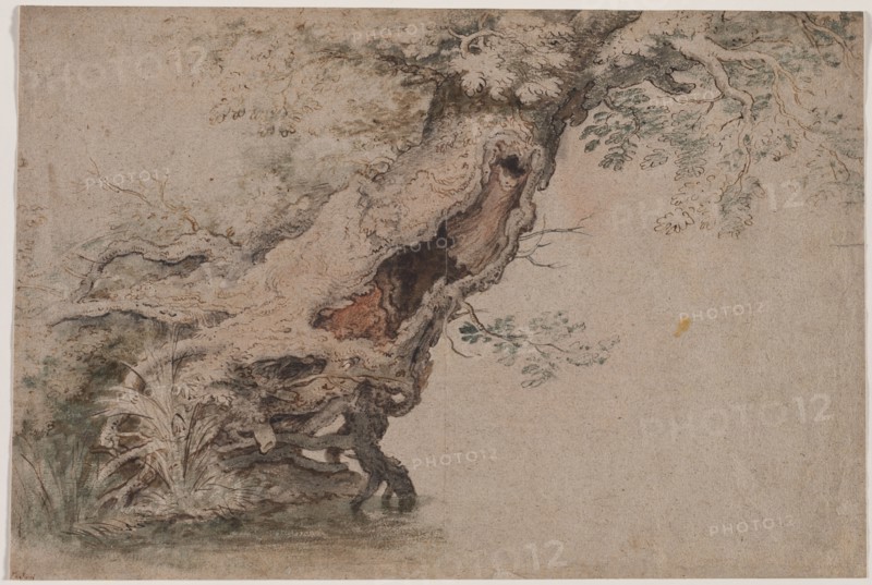 Hollow Tree, after Roelant Savery, after 1670. Lambert Doomer (Dutch, 1623-1700), copy after Roelant Savery (Flemish, 1576-1639). Pen and black and brown ink, black chalk, and  brush and green, brown, and orange wash; sheet: 31.7 x 47.4 cm (12 1/2 x 18 11/16 in.).