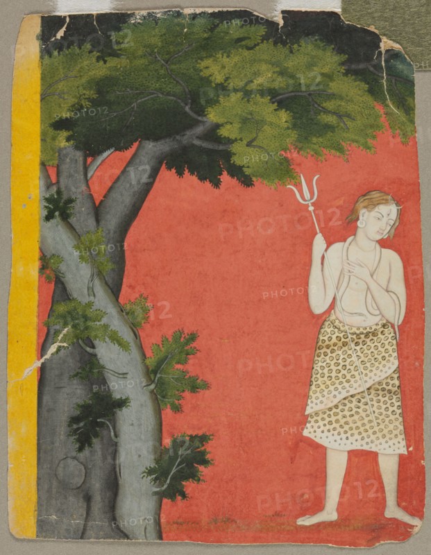 Shiva Under Trees, c. 1780. India, Pahari, Kangra school, 18th century. Color on paper; overall: 18.2 x 14 cm (7 3/16 x 5 1/2 in.).