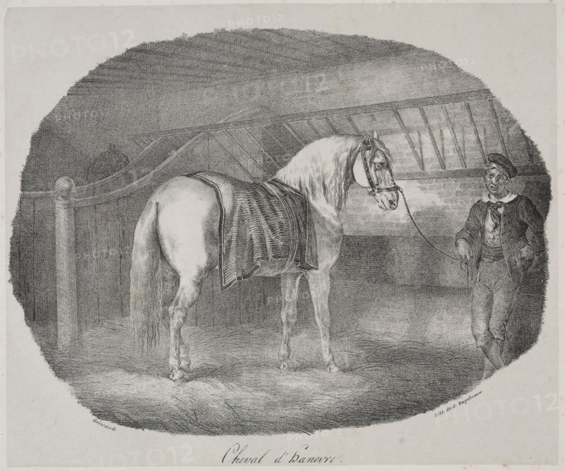 Cheval d'Hanovre. Théodore Géricault (French, 1791-1824). Lithograph