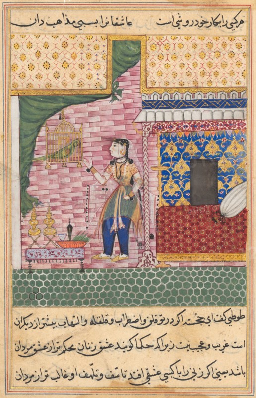 Page from Tales of a Parrot (Tuti-nama): Seventeenth night: The parrot addresses Khujasta at the beginning of the seventeenth night, c. 1560. India, Mughal, Reign of Akbar, 16th century. Opaque watercolor, ink and gold on paper