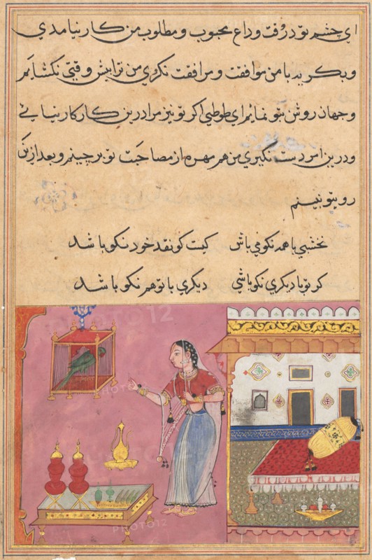 Page from Tales of a Parrot (Tuti-nama): Twentieth night: The parrot addresses Khujasta at the beginning of the twentieth night, c. 1560. India, Mughal, Reign of Akbar, 16th century. Opaque watercolor, ink and gold on paper;