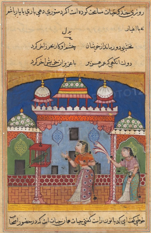 Page from Tales of a Parrot (Tuti-nama): Twenty-second night: The parrot addresses Khujasta at the beginning of the twenty-second night, c. 1560. India, Mughal, Reign of Akbar, 16th century. Opaque watercolor, ink and gold on paper