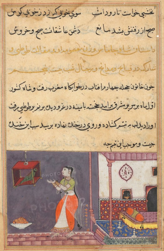 Page from Tales of a Parrot (Tuti-nama): Twenty-fifth night: The parrot addresses Khujasta at the beginning of the twenty-fifth night, c. 1560. India, Mughal, Reign of Akbar, 16th century. Opaque watercolor, ink and gold on paper;