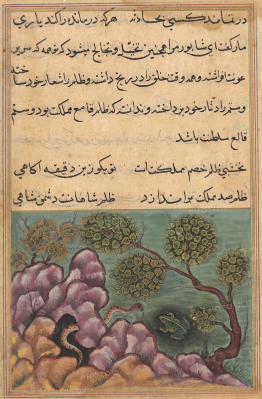 Page from Tales of a Parrot (Tuti-nama): Twenty-sixth night: The dethroned frog Shapur seeks the help of the serpent, c. 1560. India, Mughal, Reign of Akbar, 16th century. Opaque watercolor, ink and gold on paper