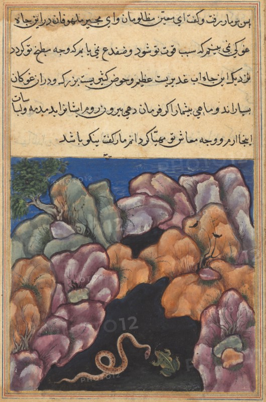 Page from Tales of a Parrot (Tuti-nama): Twenty-sixth night: The snake enters into an argument with the frog, c. 1560. India, Mughal, Reign of Akbar, 16th century. Opaque watercolor, ink and gold on paper;