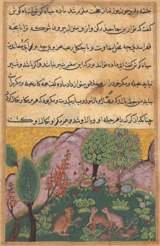 Tuti-Nama (Tales of a Parrot): Tale XXIX, c. 1560. India, Mughal, Reign of Akbar, 16th century. Color and gold on paper; overall: 20 x 14.2 cm (7 7/8 x 5 9/16 in.).