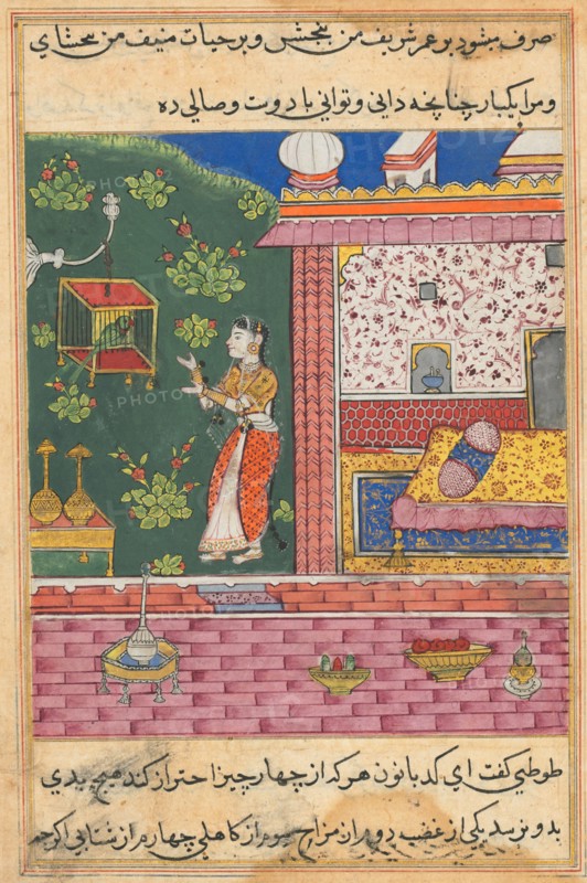 Page from Tales of a Parrot (Tuti-nama): Thirtieth night: The parrot addresses Khujasta at the beginning of the thirtieth night, c. 1560. India, Mughal, Reign of Akbar, 16th century. Opaque watercolor, ink and gold on paper;