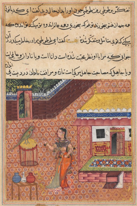 Page from Tales of a Parrot (Tuti-nama): Thirty-fourth night: The parrot addresses Khujasta at the beginning of the thirty-fourth night, c. 1560. India, Mughal, Reign of Akbar, 16th century. Opaque watercolor, ink and gold on paper;
