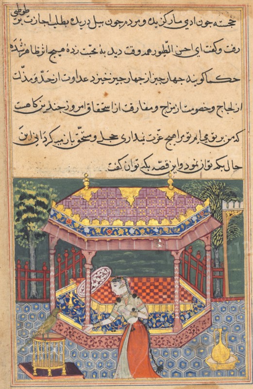 Page from Tales of a Parrot (Tuti-nama): Thirty-seventh night: The parrot addresses Khujasta at the beginning of the thirty-seventh night, c. 1560. India, Mughal, Reign of Akbar, 16th century. Opaque watercolor, ink and gold on paper