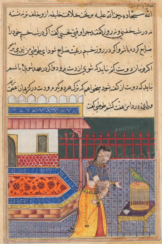 Page from Tales of a Parrot (Tuti-nama): Forty-first night: The parrot addresses Khujasta at the beginning of the forty-first night, c. 1560. India, Mughal, Reign of Akbar, 16th century. Opaque watercolor, ink and gold on paper