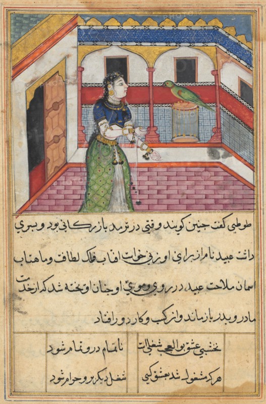 Page from Tales of a Parrot (Tuti-nama): Forty-second night: The parrot addresses Khujasta at the beginning of the forty-second night, c. 1560. India, Mughal, Reign of Akbar, 16th century. Opaque watercolor, ink and gold on paper