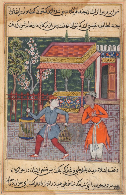 Page from Tales of a Parrot (Tuti-nama): Forty-second night: The merchant of Tirmiz takes the wise parrot and myna to ‘Ubaid, c. 1560. India, Mughal, Reign of Akbar, 16th century. Opaque watercolor, ink and gold on paper;