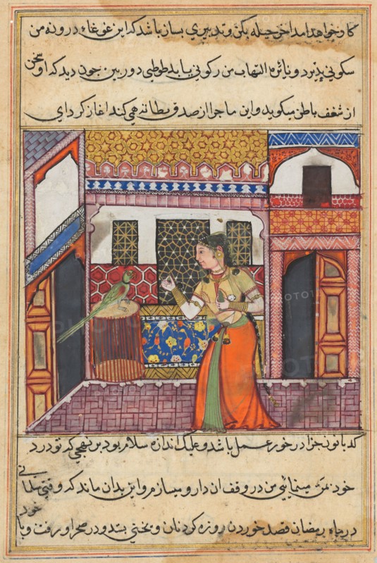 Page from Tales of a Parrot (Tuti-nama): Forty-third night: The parrot addresses Khujasta at the beginning of the forty-third night, c. 1560. India, Mughal, Reign of Akbar, 16th century. Opaque watercolor, ink and gold on paper